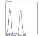 MRP2 Antibody in Flow Cytometry (Flow)