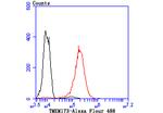 STING Antibody in Flow Cytometry (Flow)