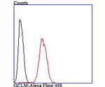 GCLM Antibody in Flow Cytometry (Flow)