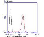 USP14 Antibody in Flow Cytometry (Flow)