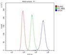 Arylsulfatase A Antibody in Flow Cytometry (Flow)