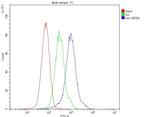 Arylsulfatase A Antibody in Flow Cytometry (Flow)