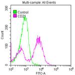 CD21 Antibody in Flow Cytometry (Flow)