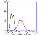 CAS Antibody in Flow Cytometry (Flow)