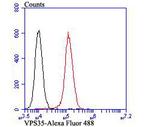 VPS35 Antibody in Flow Cytometry (Flow)