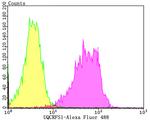 UQCRFS1 Antibody in Flow Cytometry (Flow)