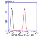 SRP54 Antibody in Flow Cytometry (Flow)