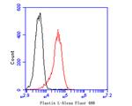 L-Plastin Antibody in Flow Cytometry (Flow)