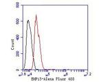 BMP-15 Antibody in Flow Cytometry (Flow)