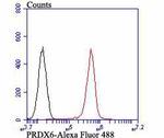 PRDX6 Antibody in Flow Cytometry (Flow)