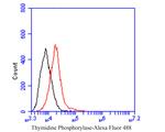 Thymidine Phosphorylase Antibody in Flow Cytometry (Flow)