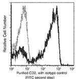 CD2 Antibody in Flow Cytometry (Flow)