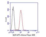 KIFAP3 Antibody in Flow Cytometry (Flow)