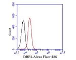 DBF4 Antibody in Flow Cytometry (Flow)