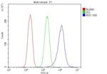 IRS1 Antibody in Flow Cytometry (Flow)