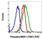 Phospho-MSK1 (Thr581) Antibody in Flow Cytometry (Flow)
