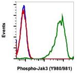 Phospho-Jak3 (Tyr980, Tyr981) Antibody in Flow Cytometry (Flow)