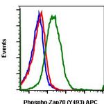 Phospho-ZAP70/Syk (Tyr493, Tyr526) Antibody in Flow Cytometry (Flow)