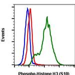 Phospho-Histone H3 (Ser10) Antibody in Flow Cytometry (Flow)