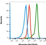 Phospho-Src (Tyr416) Antibody in Flow Cytometry (Flow)