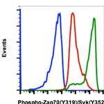 Phospho-ZAP70/Syk (Tyr319, Tyr352) Antibody in Flow Cytometry (Flow)