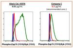 Phospho-ZAP70/Syk (Tyr319, Tyr352) Antibody in Flow Cytometry (Flow)