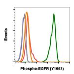Phospho-EGFR (Tyr1068) Antibody in Flow Cytometry (Flow)