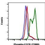 Phospho-EGFR (Tyr1068) Antibody in Flow Cytometry (Flow)