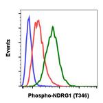 Phospho-NDRG1 (Thr346) Antibody in Flow Cytometry (Flow)