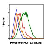 Phospho-MKK7 (Ser271, Thr275) Antibody in Flow Cytometry (Flow)