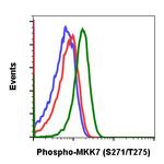 Phospho-MKK7 (Ser271, Thr275) Antibody in Flow Cytometry (Flow)