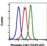 Phospho-Chk1 (Ser345) Antibody in Flow Cytometry (Flow)