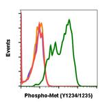 Phospho-c-Met (Tyr1234, Tyr1235) Antibody in Flow Cytometry (Flow)