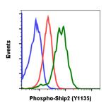 Phospho-Ship2 (Tyr1135) Antibody in Flow Cytometry (Flow)