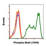 Phospho-Stat5 (Tyr694) Antibody in Flow Cytometry (Flow)