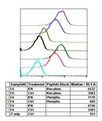 Phospho-Stat4 (Tyr693) Antibody in Flow Cytometry (Flow)