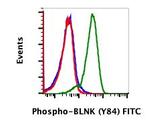 Phospho-BLNK (Tyr84) Antibody in Flow Cytometry (Flow)