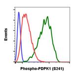 Phospho-PDPK1 (Ser241) Antibody in Flow Cytometry (Flow)