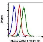 Phospho-PDPK1 (Ser241) Antibody in Flow Cytometry (Flow)