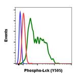 Phospho-Lck (Tyr505) Antibody in Flow Cytometry (Flow)