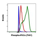 Phospho-PKC alpha (Thr497) Antibody in Flow Cytometry (Flow)