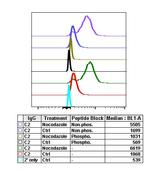 Phospho-PLK1 (Thr210) Antibody in Flow Cytometry (Flow)