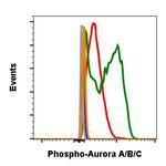 Phospho-Aurora A/B/C (Thr288, Thr232, Thr198) Antibody in Flow Cytometry (Flow)