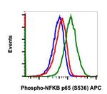 Phospho-NFKB p65 (Ser536) Antibody in Flow Cytometry (Flow)