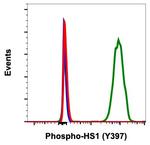 Phospho-HCLS1 (Tyr397) Antibody in Flow Cytometry (Flow)