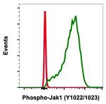Phospho-Jak1 (Tyr1022, Tyr1023) Antibody in Flow Cytometry (Flow)