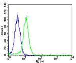 SP1 Antibody in Flow Cytometry (Flow)