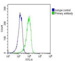 RYK Antibody in Flow Cytometry (Flow)