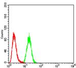 Calretinin Antibody in Flow Cytometry (Flow)