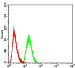 MEK3 Antibody in Flow Cytometry (Flow)